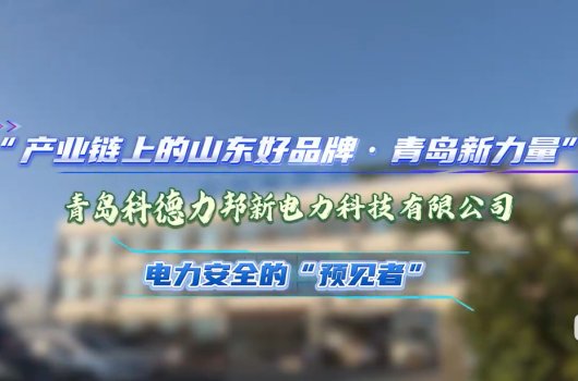 “产业链上的山东好品牌·青岛新力量”